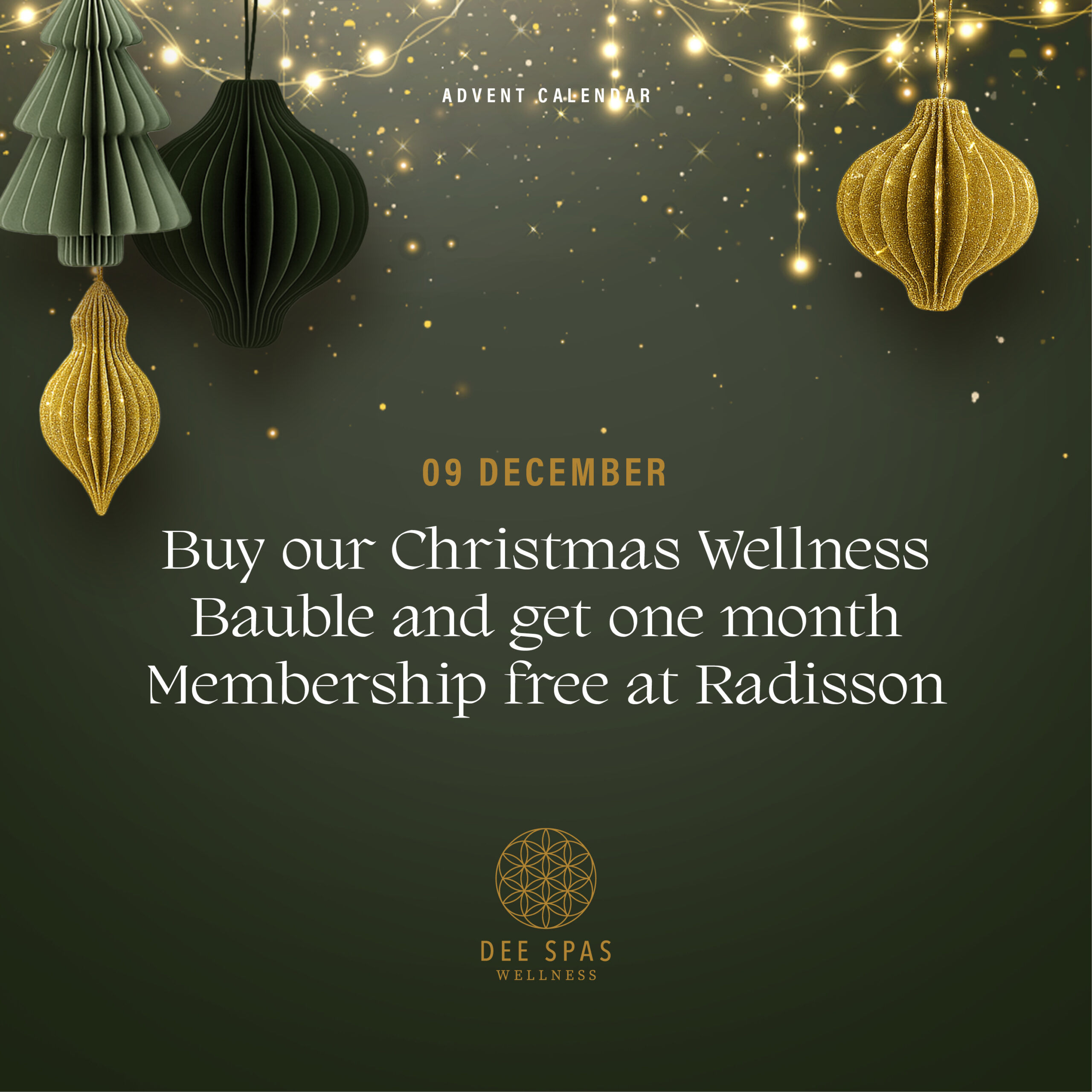 Day 9 – The Wellness Bauble