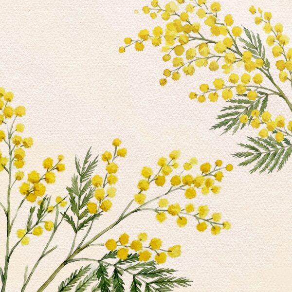 Women's Month Packages