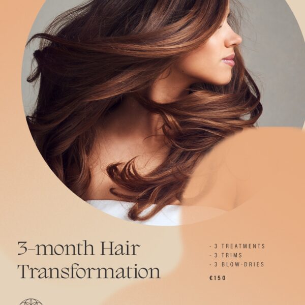 3-Month Hair Transformation